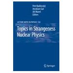 Topics in Strangeness Nuclear Physics