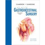 Atlas of Gastrointestinal Surgery (Volume 2)