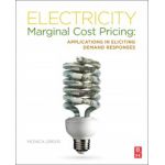 Electricity Marginal Cost Pricing. Applications in Eliciting Demand Responses