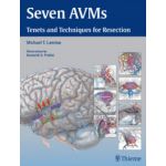 Seven AVMs: Tenets and Techniques for Resection
