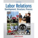 Labor Relations: Development, Structure, Process