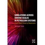 Simulations Across Diverse Scales in Petroleum Systems: From Rock Pores to Reservoirs