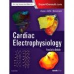 Cardiac Electrophysiology: From Cell to Bedside