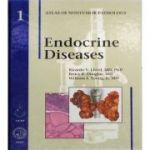 Endocrine Diseases (AFIP Atlas of Non-Tumor Pathology, Series 1, Number 1)