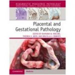 Placental and Gestational Pathology with Online Resource (Diagnostic Pediatric Pathology)
