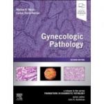Gynecologic Pathology: A Volume in Foundations in Diagnostic Pathology Series