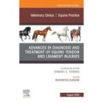 Advances In The Diagnosis And Treatment Of Equine Tendon And Ligamentinjuries, An Issue Of Veterinary Clinics Of North America: Equine Practice, 41-2