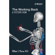 Working Back: A Systems View