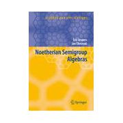 Noetherian Semigroup Algebras