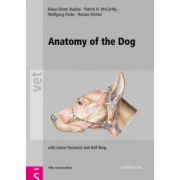 Anatomy of the Dog: An Illustrated Text