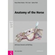 Anatomy of the Horse