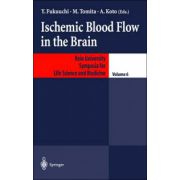 Ischemic Blood Flow in the Brain
