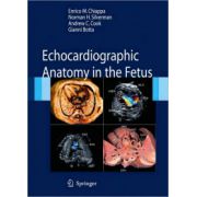 Echocardiographic Anatomy in the Fetus