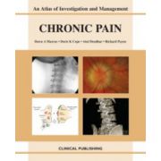Chronic Pain: an Atlas of Investigation and Management