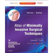 Atlas of Minimally Invasive Surgical Techniques (A Volume in the Surgical Techniques Atlas Series)