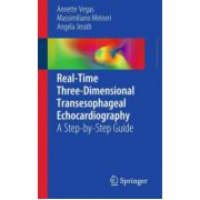 Real-Time Three-Dimensional Transesophageal Echocardiography: A Step-by-Step Guide