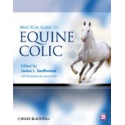Practical Guide to Equine Colic