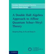 Double Hall Algebra Approach to Affine Quantum Schur-Weyl Theory