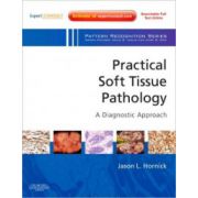 Practical Soft Tissue Pathology: A Diagnostic Approach (A Volume in the Pattern Recognition Series)