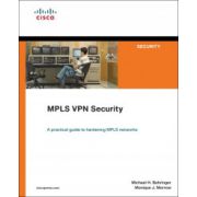 MPLS VPN Security
