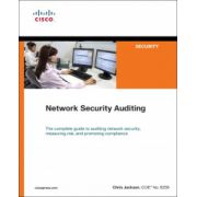 Network Security Auditing