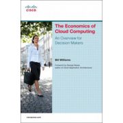 Economics of Cloud Computing: An Overview For Decision Makers