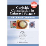 Curbside Consultation in Cataract Surgery: 49 Clinical Questions