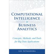 Computational Intelligence In Business Analytics: Concepts, Methods, and Tools for Big Data Applications