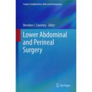 Lower Abdominal and Perineal Surgery (Surgery: Complications, Risks and Consequences)