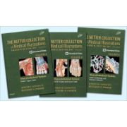 Netter Collection of Medical Illustrations- Musculoskeletal System Package: Volume 6