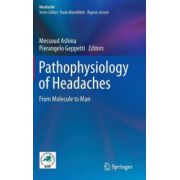 Pathophysiology of Headaches: From Molecule to Man