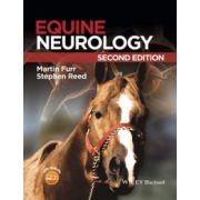Equine Neurology