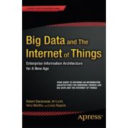Big Data and The Internet of Things: Enterprise Information Architecture for A New Age