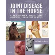 Joint Disease in the Horse