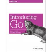 Introduction to Programming in Go: A Developer Resource