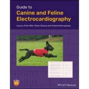 Guide to Canine and Feline Electrocardiography