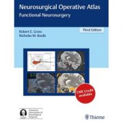 Neurosurgical Operative Atlas: Functional Neurosurgery