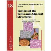 Tumors of the Testis and Adjacent Structures (AFIP Atlas of Tumor Pathology, Series 4, Number 18)