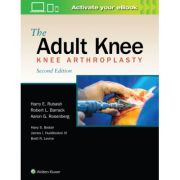 Adult Knee
